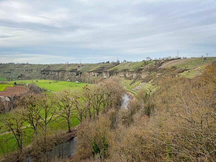 23-03-17 14-47-05 4925